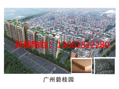 广州碧桂园